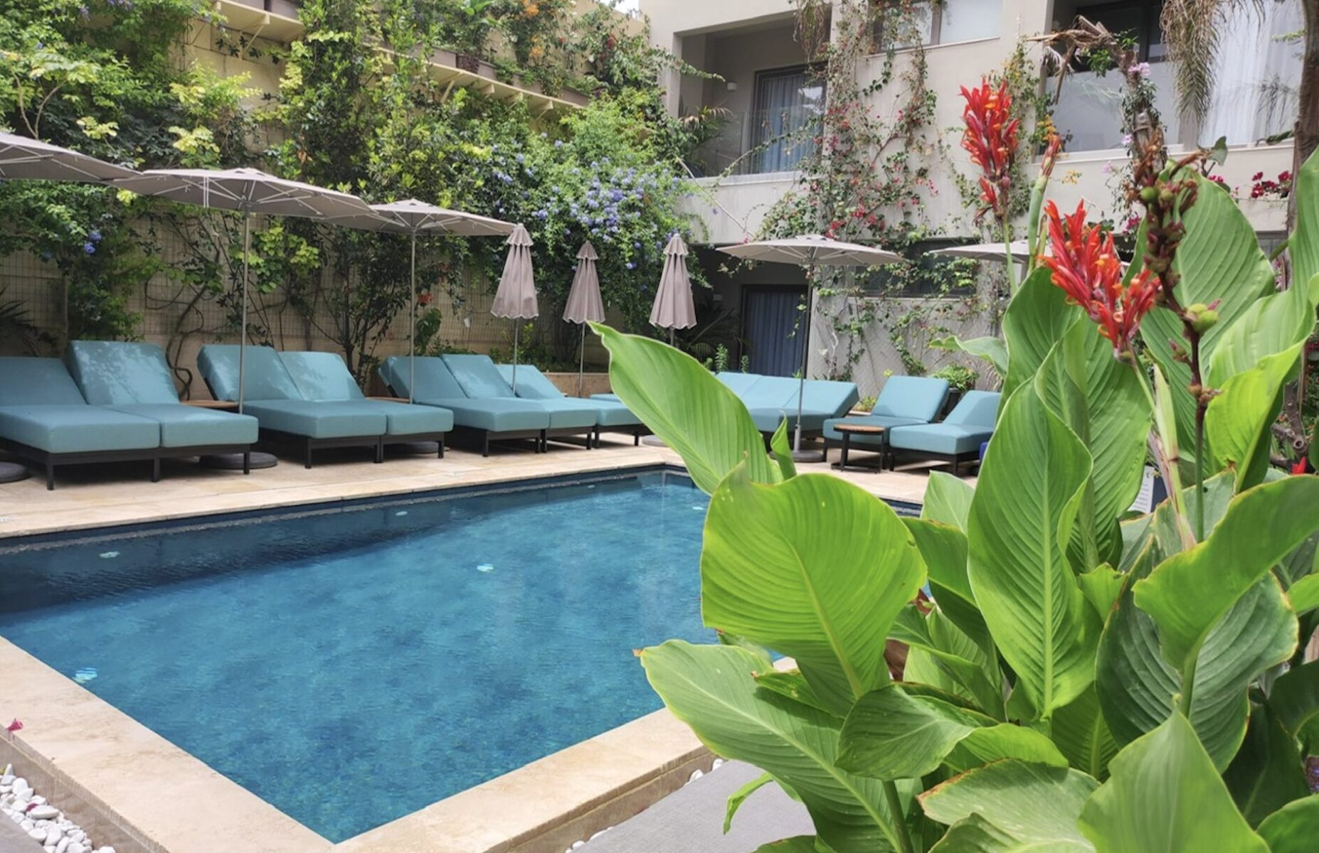 Village Hotel & Spa in Malta