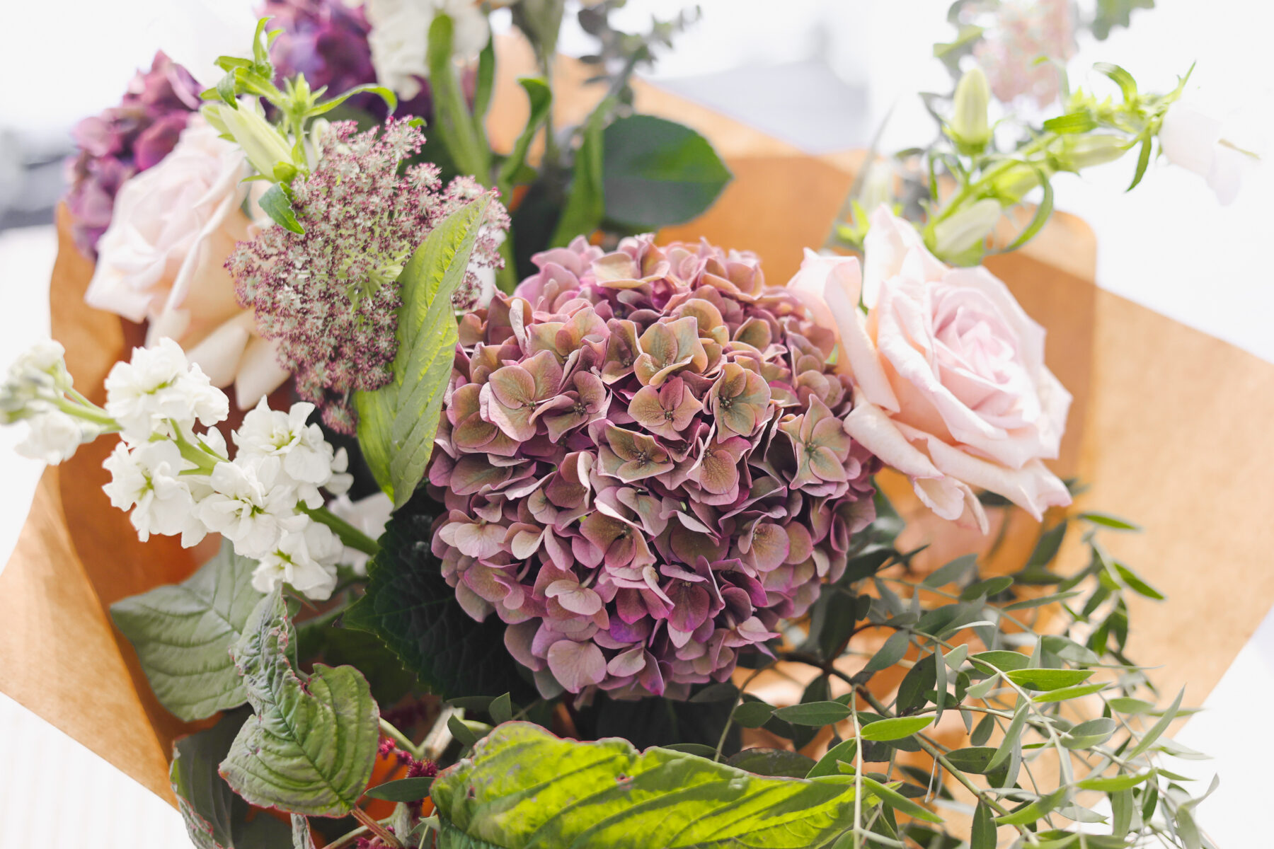 Cotswolds Designer Outlet